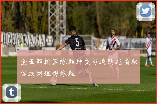 全面解析篮球鞋种类与选购指南助你找到理想球鞋